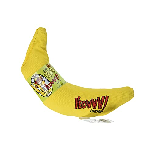 41jhbGyrjJL.jpg